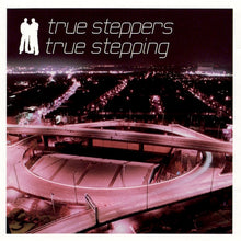 Load image into Gallery viewer, True Steppers : True Stepping (CD, Album)
