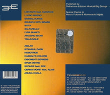 Load image into Gallery viewer, Ensemble Ethnique : ChilLounge Sin Fronteras (CD, Album)
