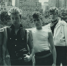 Load image into Gallery viewer, Stray Cats : Live - Tear It Up (CD)
