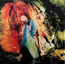 Load image into Gallery viewer, Rick Wakeman : Return To The Centre Of The Earth (CD, Album)
