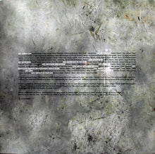 Load image into Gallery viewer, Blur : Think Tank (2xLP, Album)
