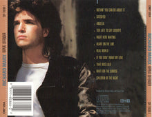 Load image into Gallery viewer, Richard Marx : Repeat Offender (CD, Album)
