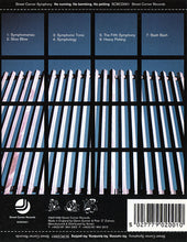 Load image into Gallery viewer, Street Corner Symphony : No Running, No Bombing, No Petting (CD)
