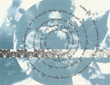 Load image into Gallery viewer, Badi Assad : Chameleon (CD, Album)

