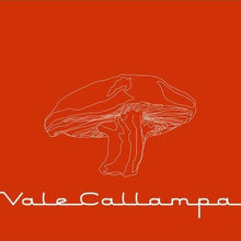 Load image into Gallery viewer, Café Tacvba* : Vale Callampa (CD, EP, Dig)
