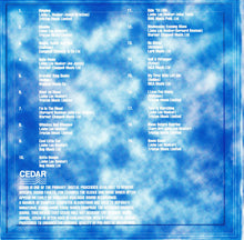 Load image into Gallery viewer, John Lee Hooker : Blues Is My Favourite Colour (CD, Comp)
