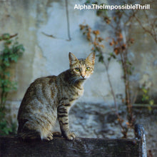 Load image into Gallery viewer, Alpha : The Impossible Thrill (CD, Album)
