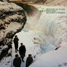 Load image into Gallery viewer, Echo &amp; The Bunnymen : Porcupine (LP, Album)
