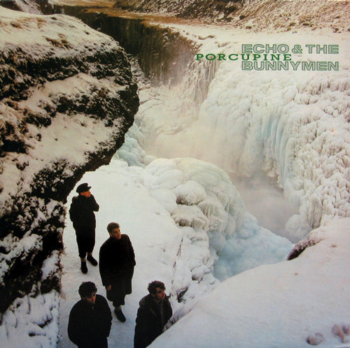 Echo & The Bunnymen : Porcupine (LP, Album)