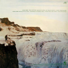 Load image into Gallery viewer, Echo &amp; The Bunnymen : Porcupine (LP, Album)
