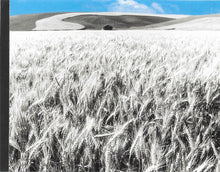 Load image into Gallery viewer, Kansas (2) : Somewhere To Elsewhere (CD, Album)
