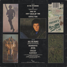 Load image into Gallery viewer, Paul Hardcastle : Paul Hardcastle (LP, Album)
