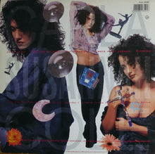 Load image into Gallery viewer, Wendy &amp; Lisa : Fruit At The Bottom (2xLP, Album, Ltd, RE)
