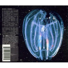 Load image into Gallery viewer, Mimi* : Soak (CD, Album)
