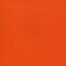 Load image into Gallery viewer, The Youngsters : Lemonorange (CD, Album)

