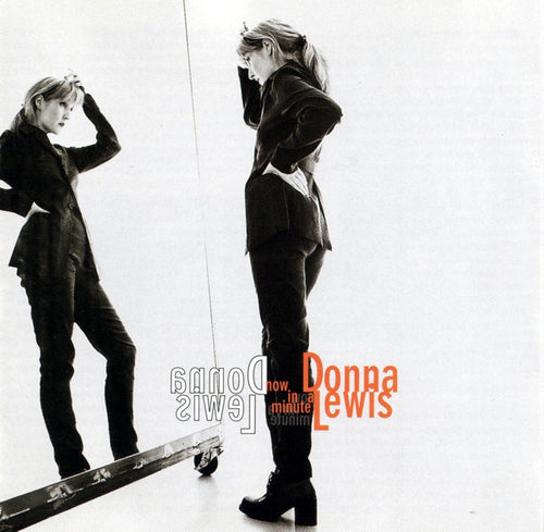 Donna Lewis : Now In A Minute (CD, Album)