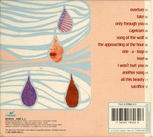 Load image into Gallery viewer, Raining Pleasure : Flood: [Coming Of A] Great Quantity Of Water (CD, Album)

