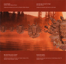 Load image into Gallery viewer, Shpongle : Remixed (CD, Album)
