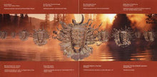 Load image into Gallery viewer, Shpongle : Remixed (CD, Album)
