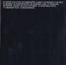 Load image into Gallery viewer, Terris : Learning To Let Go (CD, Album)
