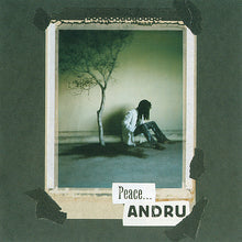 Load image into Gallery viewer, Andru Donalds : Andru Donalds (CD, Album)
