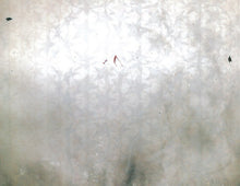 Load image into Gallery viewer, The Youngsters : The Army Of 1-0 (CD, Album)
