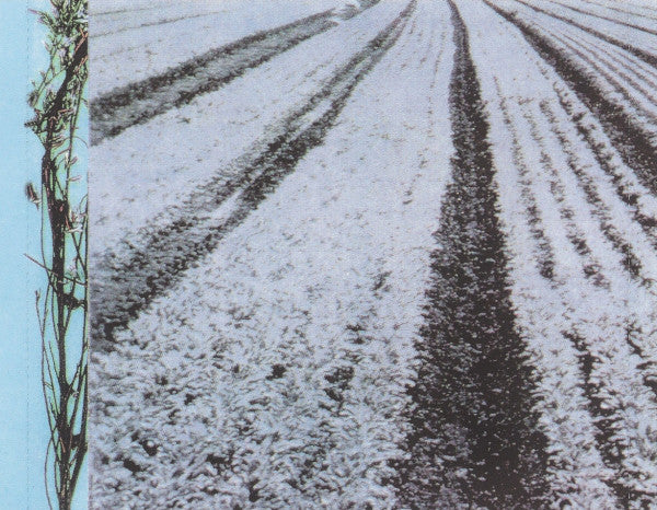 TRACY 非売品CD レア TRACY CHAPMAN [35TH ANNIVERSARY EDITION] (LIMITED ORANGE