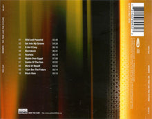 Load image into Gallery viewer, Incognito : No Time Like The Future (CD, Album)
