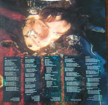Load image into Gallery viewer, Mike Oldfield : Earth Moving (LP, Album)
