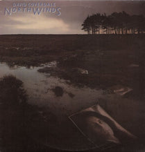 Load image into Gallery viewer, David Coverdale : Northwinds (LP, Album)
