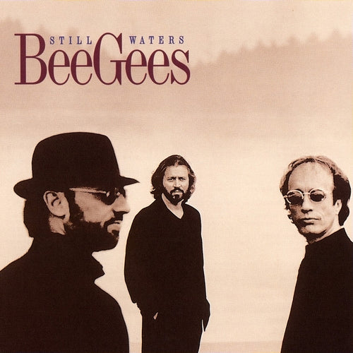 Bee Gees : Still Waters (CD, Album, Club)
