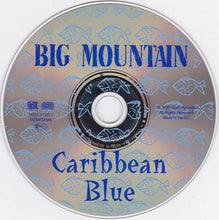 Load image into Gallery viewer, Big Mountain : Caribbean Blue (CD, Maxi)
