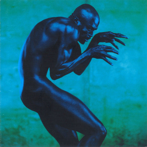 Seal : Human Being (CD, Album)