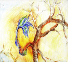 Load image into Gallery viewer, Tigran Hamasyan : Red Hail (CD, Album)
