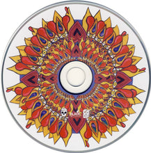 Load image into Gallery viewer, The Eighties Matchbox B-Line Disaster : Blood &amp; Fire (CD, Album, Dig)
