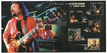 Load image into Gallery viewer, Tinsley Ellis : Fire It Up (CD, Album)
