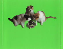 Load image into Gallery viewer, Various : Twist This Pussy 2003 (CD, Comp, Mixed)
