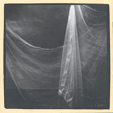 Load image into Gallery viewer, Tish Hinojosa : Dreaming From The Labyrinth / Soñar Del Laberinto (CD, Album)
