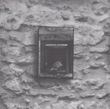Load image into Gallery viewer, Tish Hinojosa : Dreaming From The Labyrinth / Soñar Del Laberinto (CD, Album)
