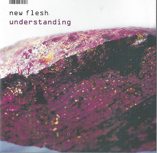New Flesh : Understanding (CD, Album)