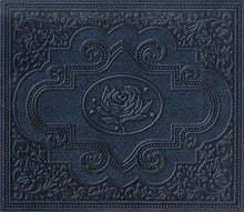 Load image into Gallery viewer, Ryan Adams &amp; The Cardinals : Cold Roses (2xCD, Album)
