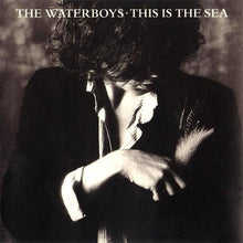 Load image into Gallery viewer, The Waterboys : This Is The Sea (CD, Album, RE)
