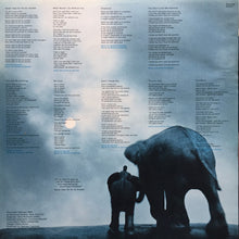 Load image into Gallery viewer, The Epidemics : Shankar / Caroline (2) : The Epidemics (LP, Album)
