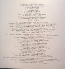 Load image into Gallery viewer, Kevin Ayers : Singing The Bruise (The BBC Sessions 1970-72) (CD, RE)
