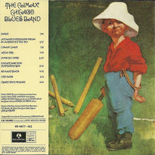 Load image into Gallery viewer, The Climax Blues Band* : Plays On (CD, Album)
