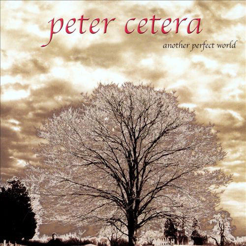 Peter Cetera : Another Perfect World (CD, Album)
