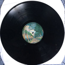 Load image into Gallery viewer, Osibisa : Happy Children (LP, Album)
