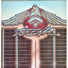 Load image into Gallery viewer, Trash (24) : Trash (LP)
