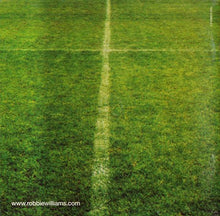 Load image into Gallery viewer, Robbie Williams : Sing When You&#39;re Winning (CD, Album)
