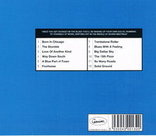 Load image into Gallery viewer, Steve Hackett : Blues With A Feeling (CD, Album)
